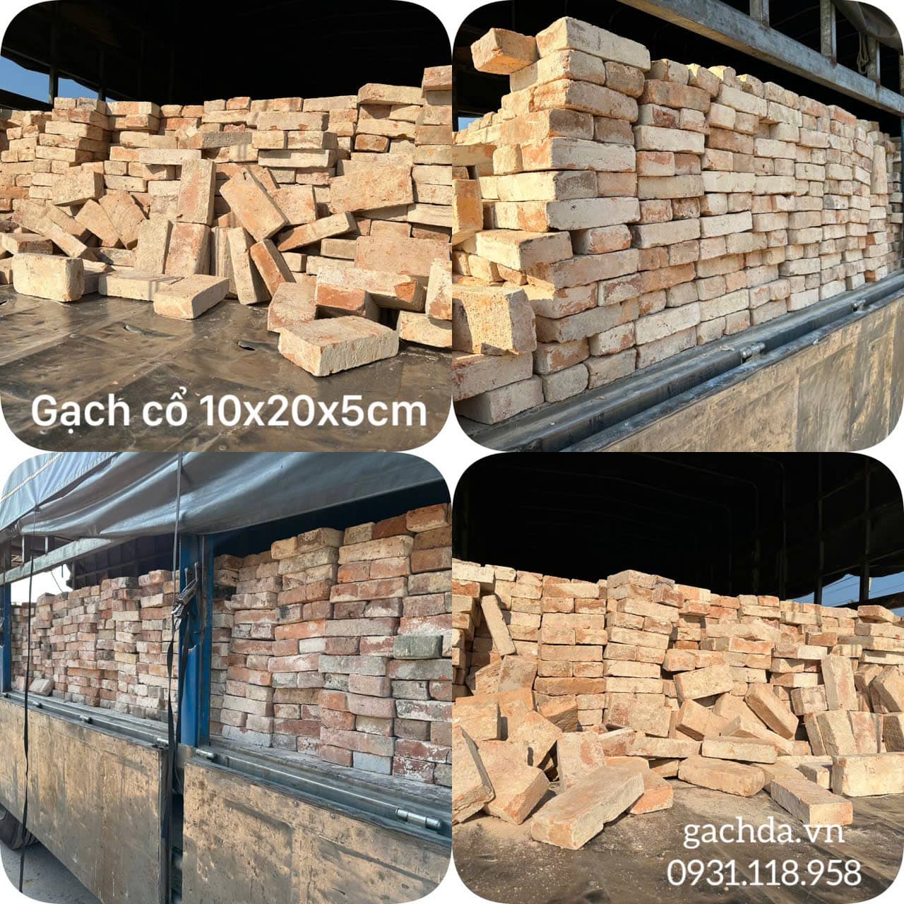 Gạch Cổ Nguyên Viên : Gạch cổ nguyên viên 10x20cm